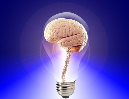 une illustration d'un cerveau dans une ampoule