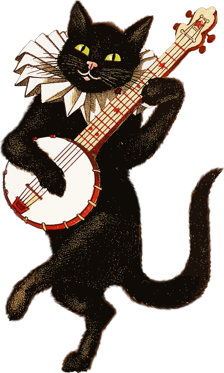 chat botté jouant du banjo