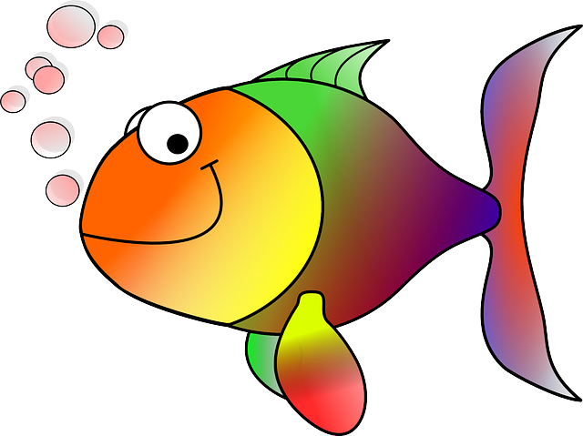 poisson multicolore
