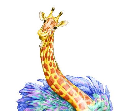 Giruche :animal moitié girafe moitié autruche