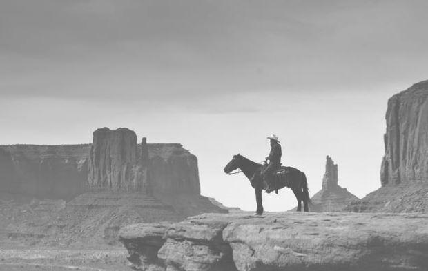 cowboy dans le désert américain